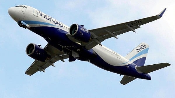 <div class="paragraphs"><p>Image showing an IndiGo plane. For representational purposes.</p></div>