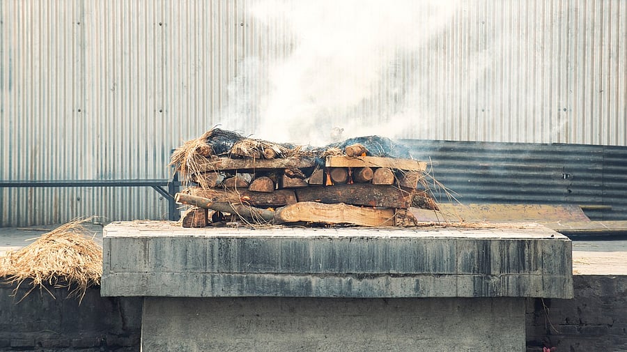 <div class="paragraphs"><p>Representative image. </p></div>