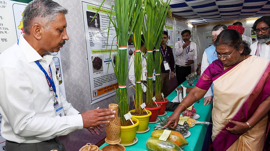 <div class="paragraphs"><p>President Droupadi Murmu at the centenary celebration of the ICAR-National Institute of Secondary Agriculture (NISA), in Ranchi. </p></div>