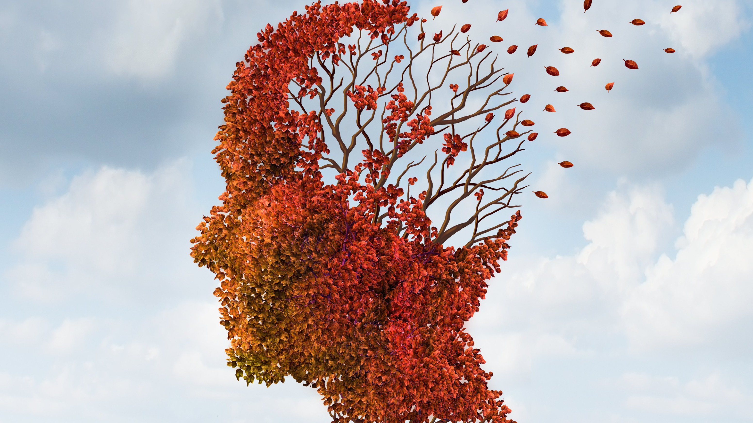 <div class="paragraphs"><p>Dementia. Representative image.</p></div>