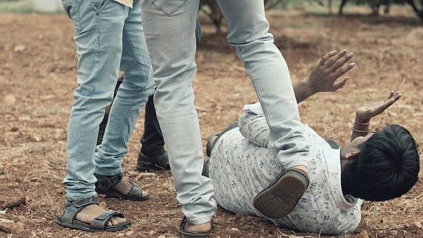 <div class="paragraphs"><p>Image for representation.</p></div>