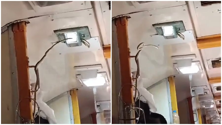 <div class="paragraphs"><p>Screengrab from the incident video.</p></div>