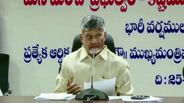 <div class="paragraphs"><p>Andhra Pradesh Chief Minister N. Chandrababu Naidu addresses a press conference, in Vijayawada, Wednesday, Sept. 25, 2024. </p></div>