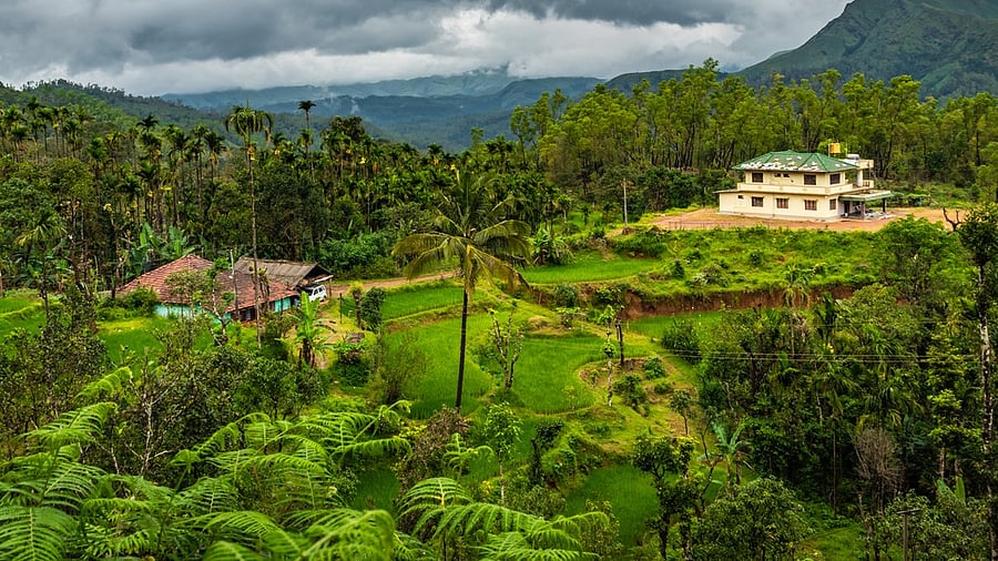 <div class="paragraphs"><p>Representative image of tourist village.&nbsp;</p></div>