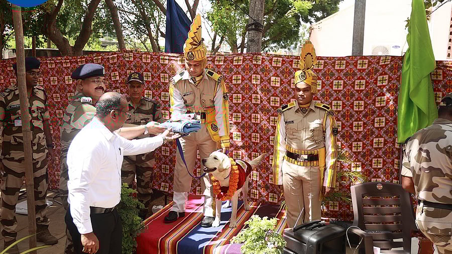 <div class="paragraphs"><p>Ceasar was involved in resolving many crises at the airport, mainly pertaining to unclaimed baggage left behind by passengers, CISF DIG said.</p></div>
