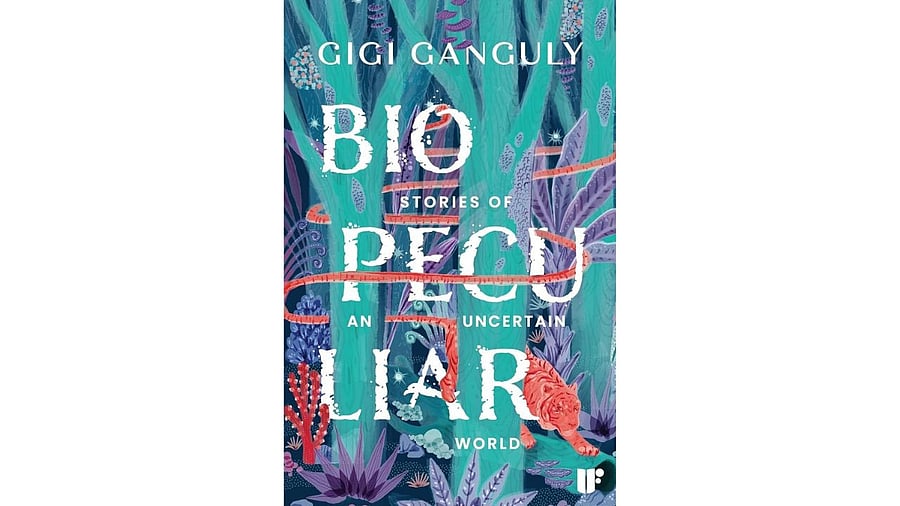 <div class="paragraphs"><p>Biopeculiar</p></div>