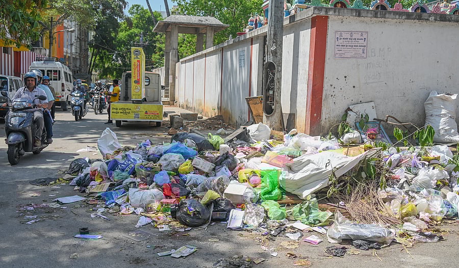 <div class="paragraphs"><p>File photograph used for representational purposes only</p><p><br></p></div>