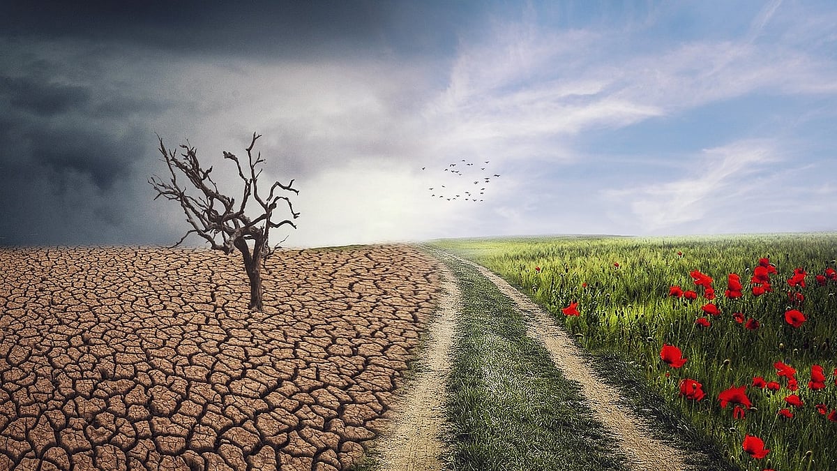Corporate India's Climate Goals Lack Action, IEEFA Study Reveals
