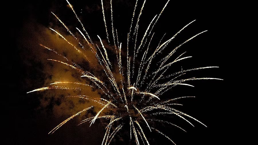 <div class="paragraphs"><p>Credit: Pixabay Photo</p></div>