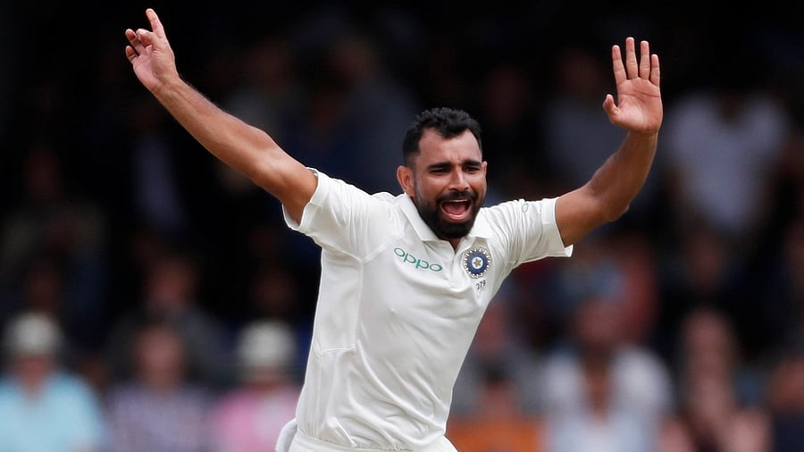 <div class="paragraphs"><p>Mohammed Shami in action</p></div>