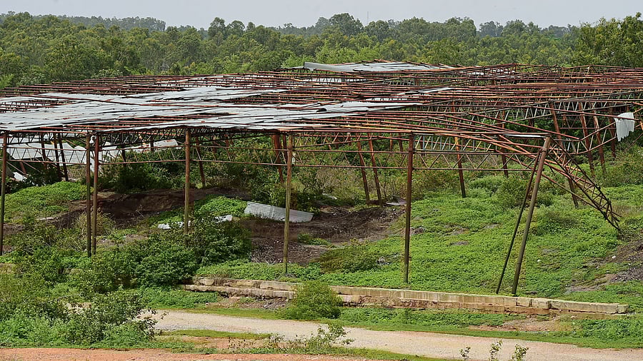 <div class="paragraphs"><p>The Mavallipura land, which once housed a landfill site for municipal waste from Bengaluru. </p></div>