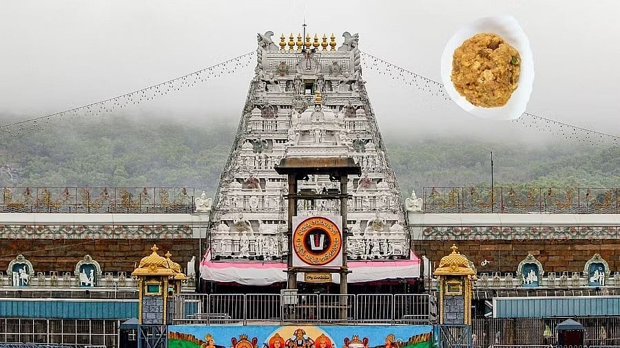 Andhra Government Forms One-Man Panel to Investigate TTD Ghee Scandal Lapses
