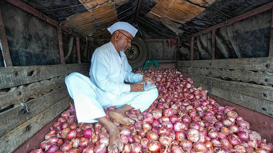 <div class="paragraphs"><p>A farmer at Vinchur onion market during farmers and traders’ strike in Nashik. (Representative image)</p></div>