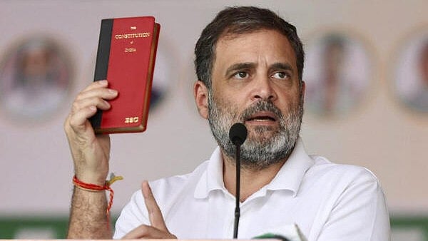 <div class="paragraphs"><p>LoP in Lok Sabha and Congress MP Rahul Gandhi</p></div>