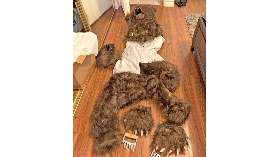 <div class="paragraphs"><p>The bear costume used to defraud insurance companies.</p></div>