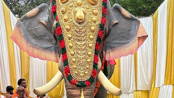 <div class="paragraphs"><p>A mechanical elephant. (Image for representation)</p></div>