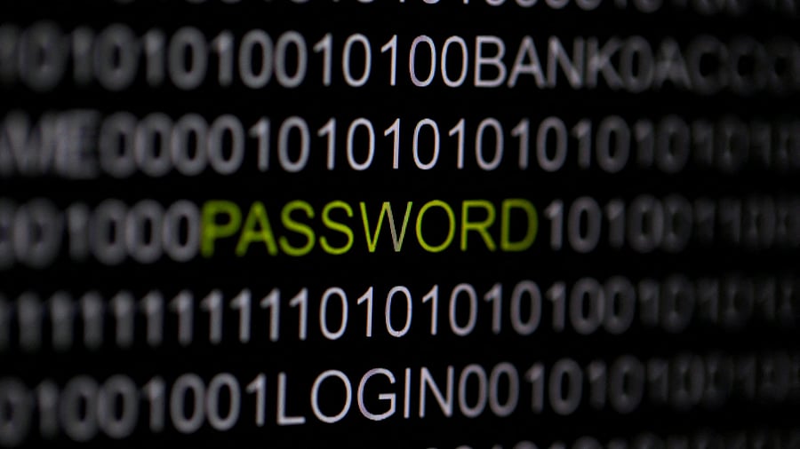 <div class="paragraphs"><p>The word 'password' is pictured on a computer screen in this picture illustration. (Representative image)</p></div>