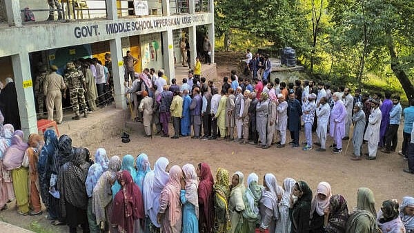 <div class="paragraphs"><p>Voters stand in queues at a polling station to cast votes during the second phase of Jammu and Kashmir Assembly election.</p></div>