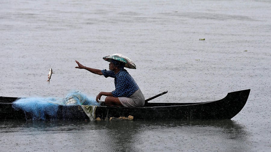 <div class="paragraphs"><p>A fisherman collects fish from a net.</p></div>