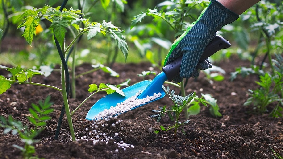 India's Fertilizer Supply Stable, But West Asia Conflict Poses Future Risks