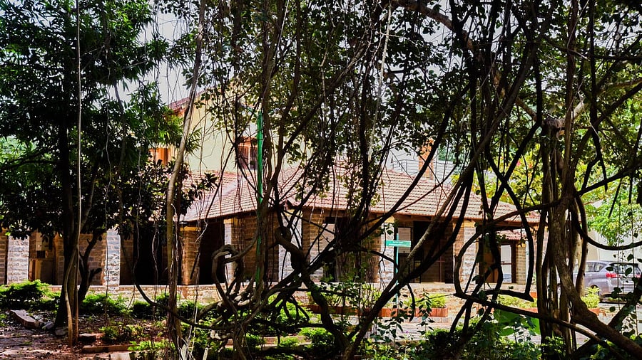 <div class="paragraphs"><p>The Roerich and Devika Rani Estate on Kanakapura Road near Bengaluru. </p></div>