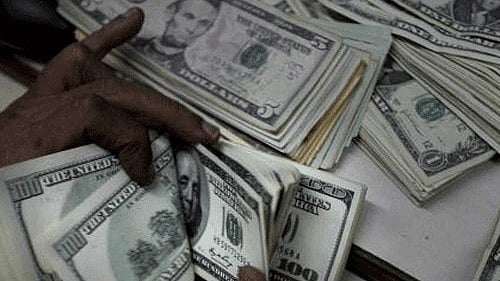 <div class="paragraphs"><p>Representative image.&nbsp;</p></div>