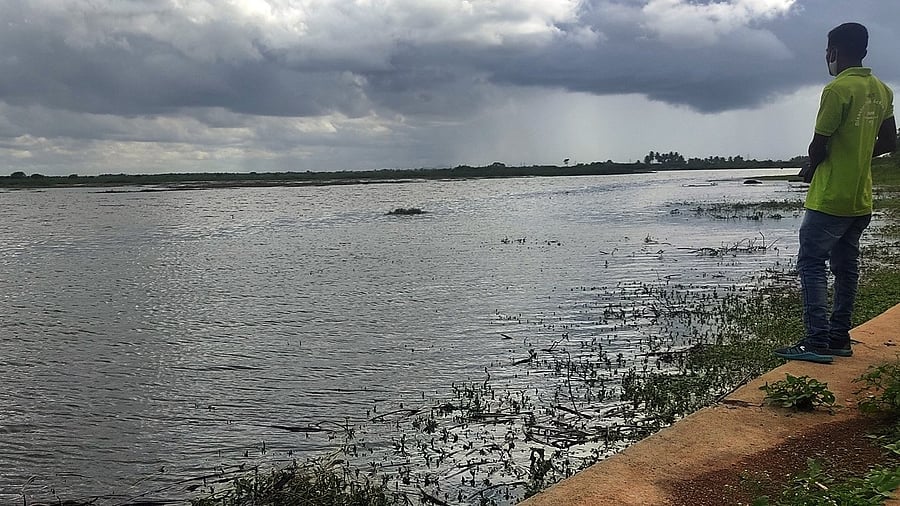 <div class="paragraphs"><p>In Bengaluru, the drains downstream of Agara Lake were found to carry domestic sewage and solid waste. </p></div>