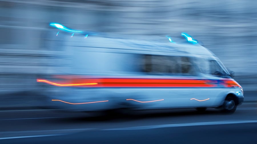 <div class="paragraphs"><p>Representative image.</p></div>