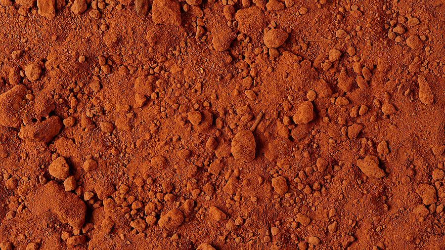 <div class="paragraphs"><p>Representative image showing red mud.</p></div>