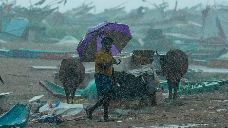 <div class="paragraphs"><p>Rain in Chennai</p></div>