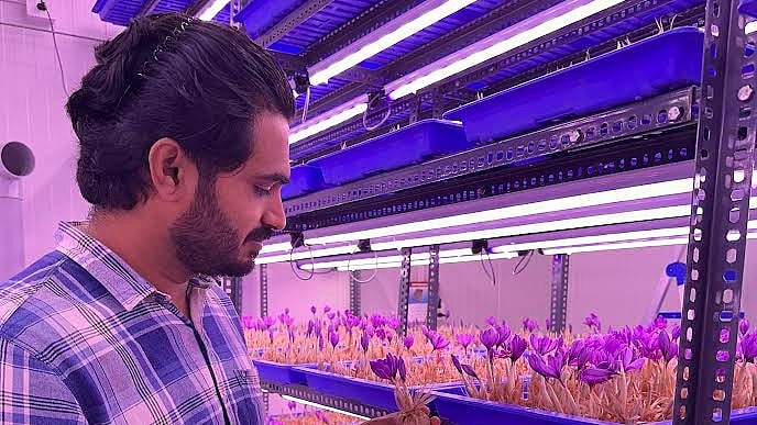 <div class="paragraphs"><p>Seshadri at the aeroponics saffron farm on the terrace of his house.</p></div>