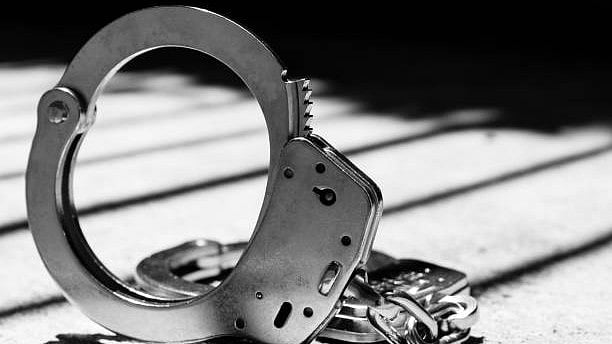 <div class="paragraphs"><p>Image for representation.</p></div>