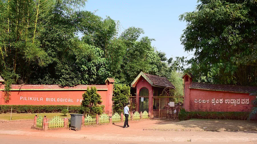 Pilikula Biological Park was inaugurated by Siddaramaiah during his tenure as chief minister in 2018. DH FILE PHOTO