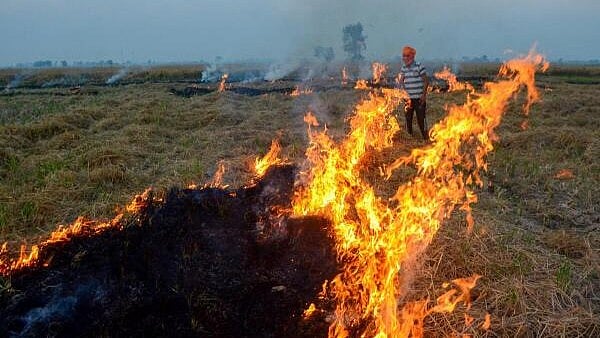 <div class="paragraphs"><p>Representative image of a farmer burning stubble. </p></div>