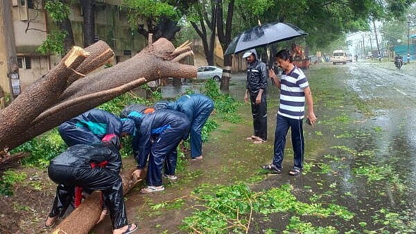 <div class="paragraphs"><p>Disaster response force personnel remove uprooted trees from a road amid rain after landfall of Cyclone Fengal, in Cuddalore, Tamil Nadu, Sunday, Dec. 1, 2024.</p></div>