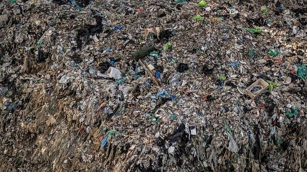 <div class="paragraphs"><p>Representative image showing plastic pollution.</p></div>