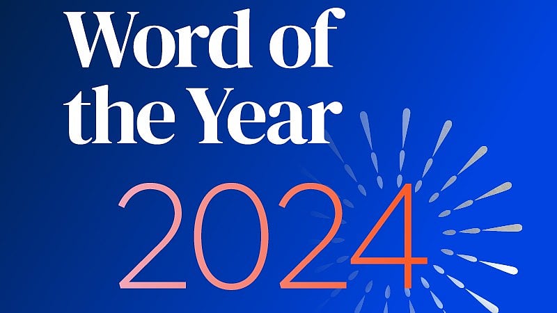 <div class="paragraphs"><p>Here's Oxford's 2024 Word of the Year</p></div>