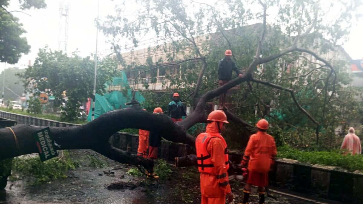<div class="paragraphs"><p>Aftermath of Cyclone Fengal </p></div>