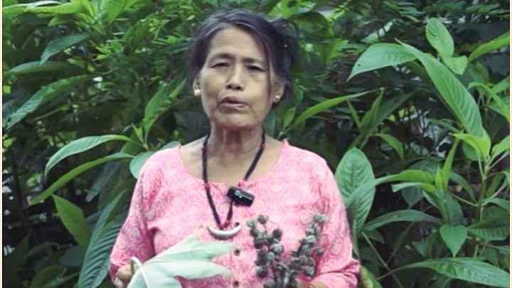 <div class="paragraphs"><p>Yanung Jamoh Lego</p></div>