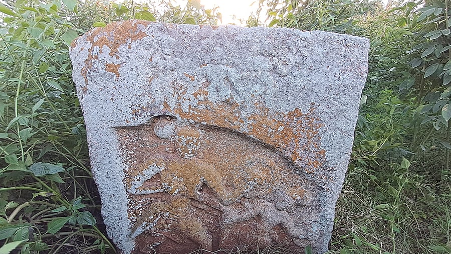 A hero stone found in the tur field. Photos by author