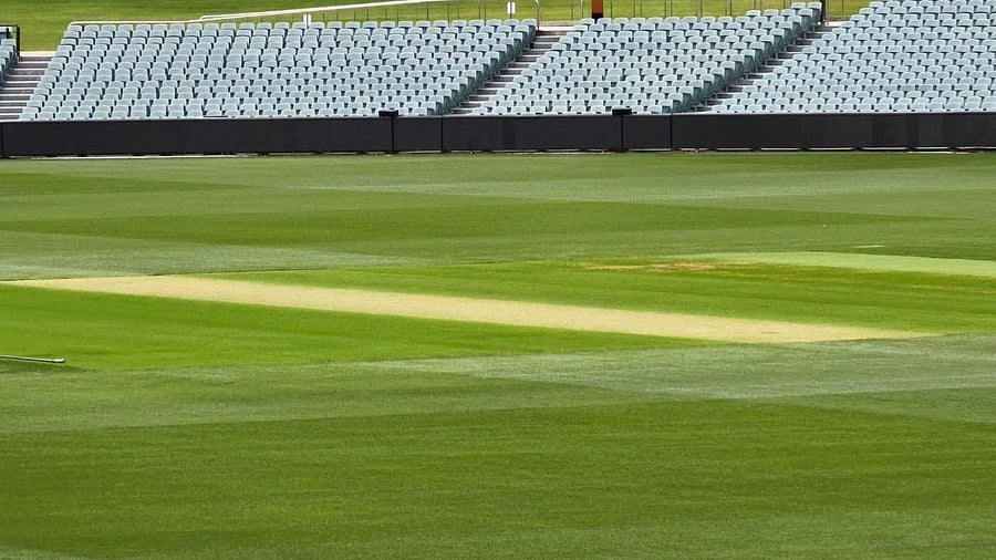 <div class="paragraphs"><p>A total of 6 mm of grass is likely be left on the pitch for the Adelaide Test. </p></div>