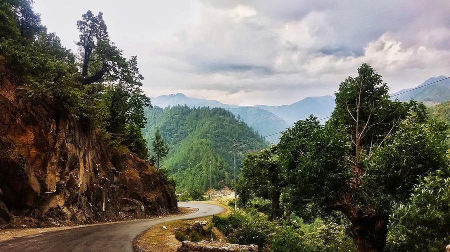 <div class="paragraphs"><p>Photo for representational purpose.</p></div>