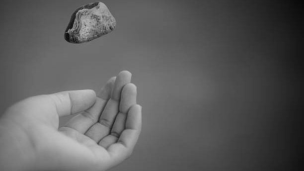 <div class="paragraphs"><p>Image for representation.</p></div>