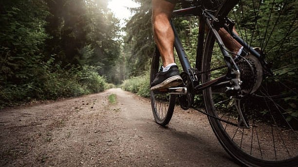 <div class="paragraphs"><p>Image for representation.</p></div>