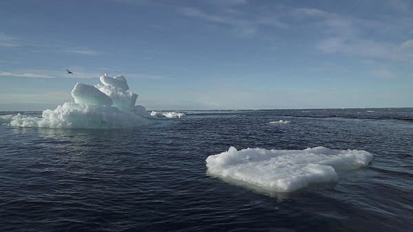 <div class="paragraphs"><p>Floating ice is seen  at the Arctic Ocean.</p></div>