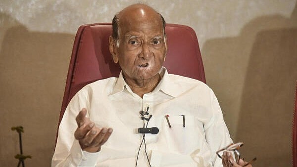 <div class="paragraphs"><p>NCP President Sharad Pawar during a party workers meeting.</p></div>