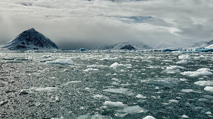 <div class="paragraphs"><p>Travelling through ice floes. </p></div>