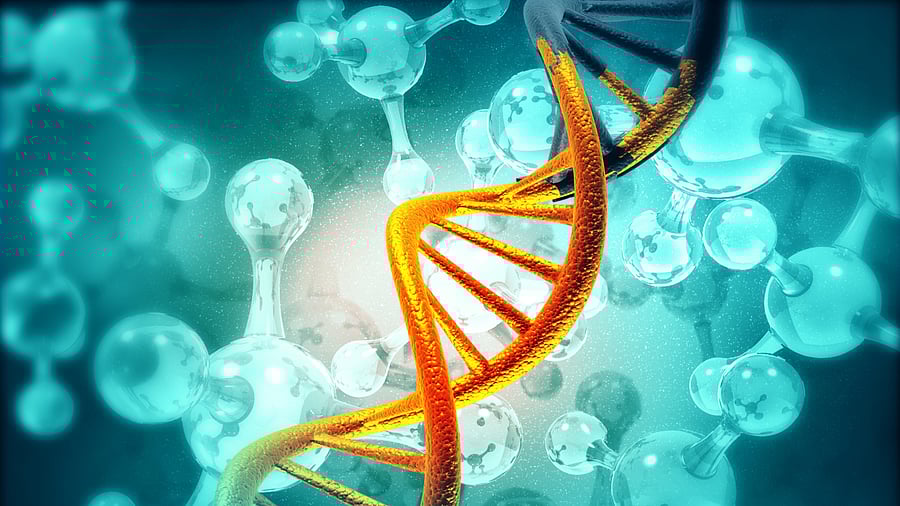 <div class="paragraphs"><p>Image for representation.</p></div>