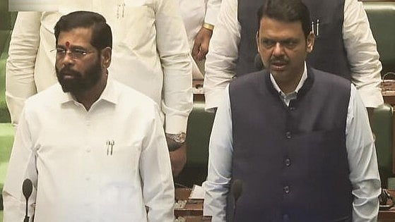 <div class="paragraphs"><p>Maharashtra Chief Minister Devendra Fadnavis and Deputy Chief Minister Eknath Shinde.</p></div>