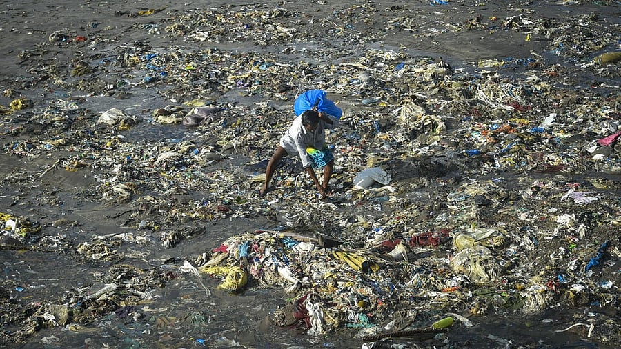 <div class="paragraphs"><p>Representative image showing garbage.</p></div>